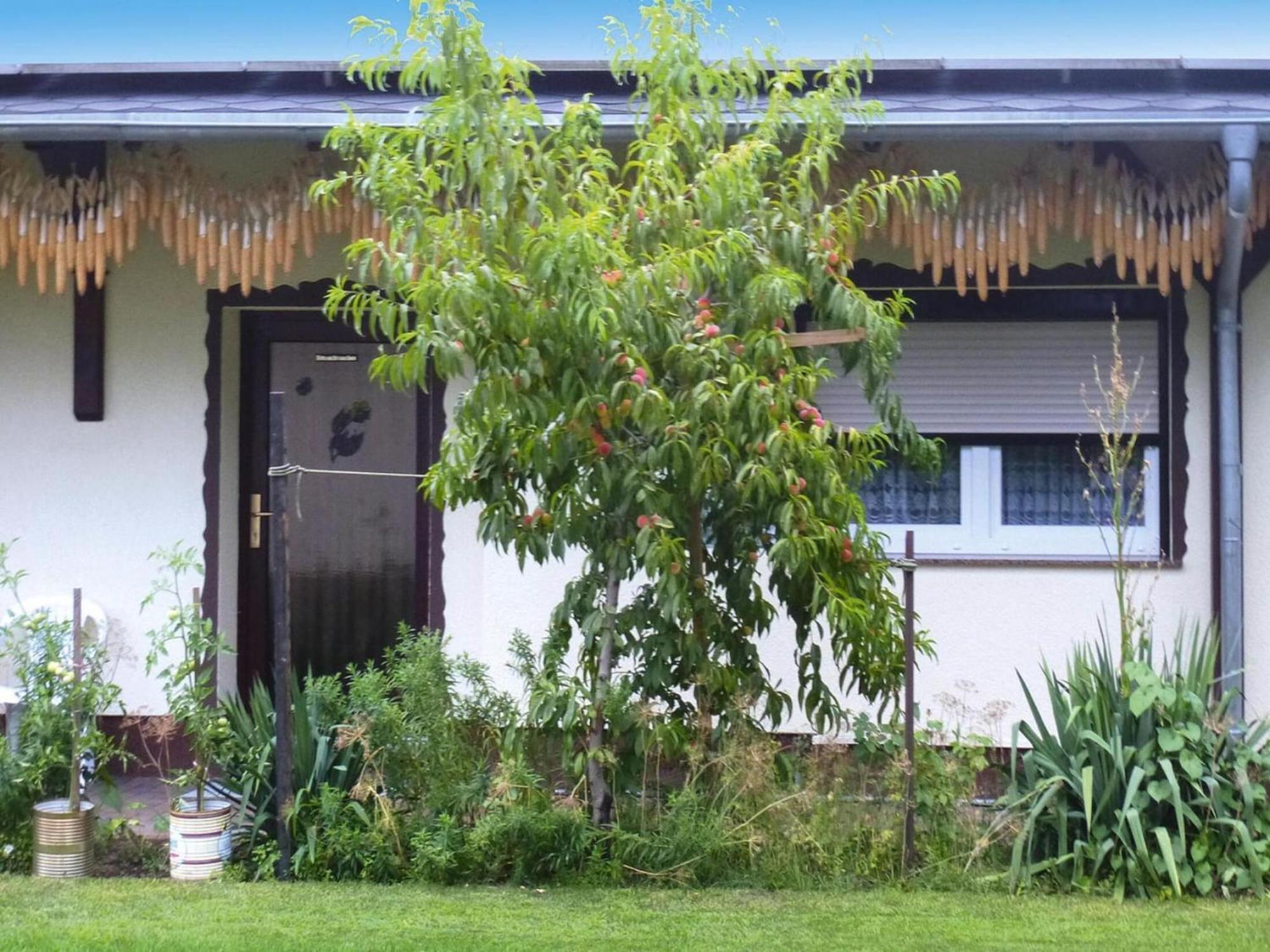 Bungalow In L Bben With A Terrace Lübben المظهر الخارجي الصورة